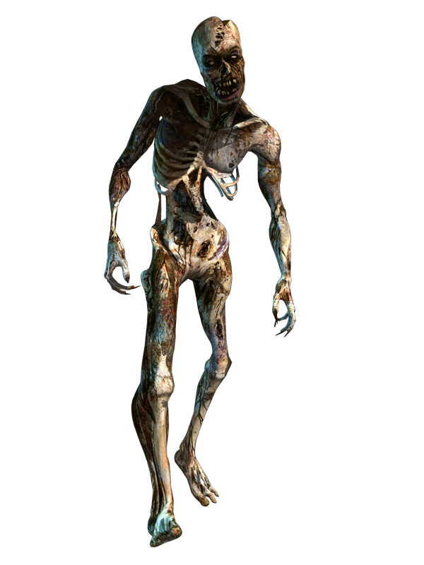 Dark Messiah: Might and Magic Render (Dark Messiah Webkit): Undead