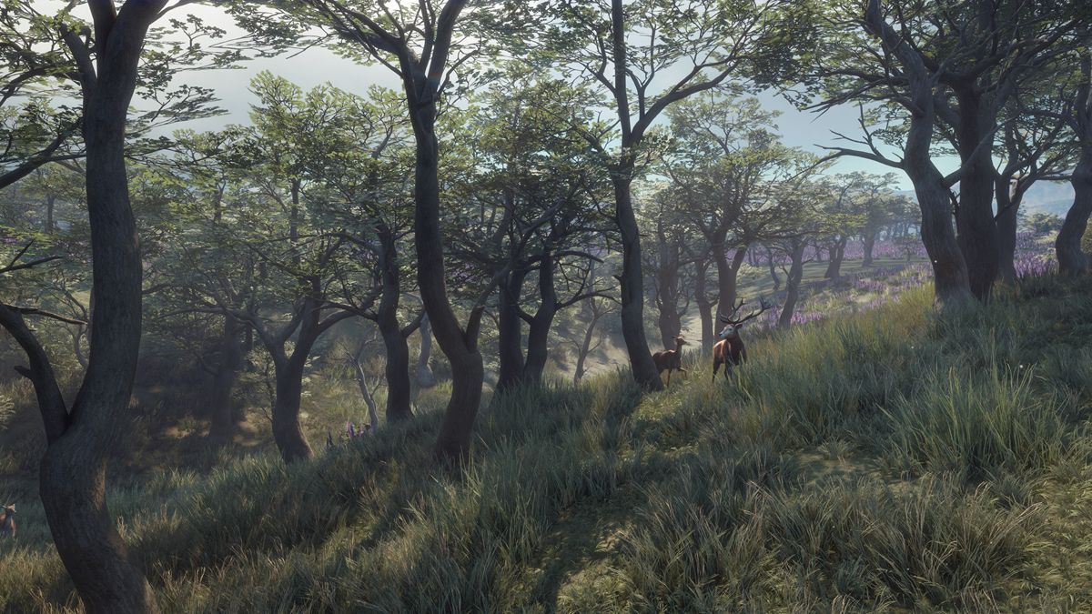 theHunter: Call of the Wild - Parque Fernando Screenshot (Steam)