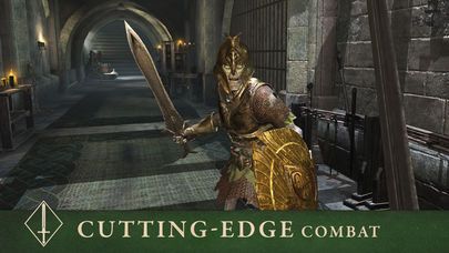 The Elder Scrolls: Blades Screenshot (iTunes Store)