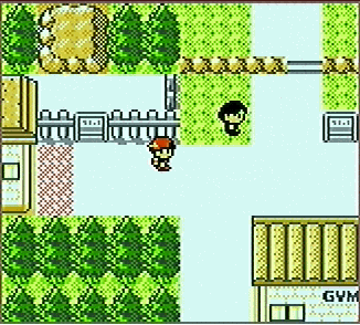 Pokémon Silver Version Screenshot (Gold & Silver Promotional CD)