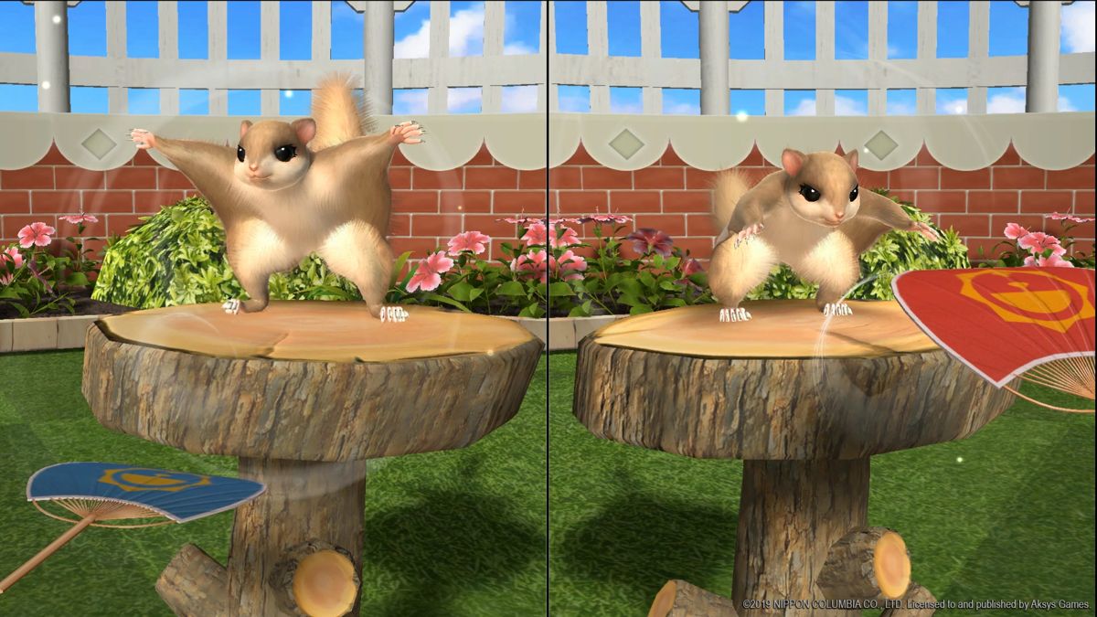 Fun! Fun! Animal Park Screenshot (Aksys Games product page)