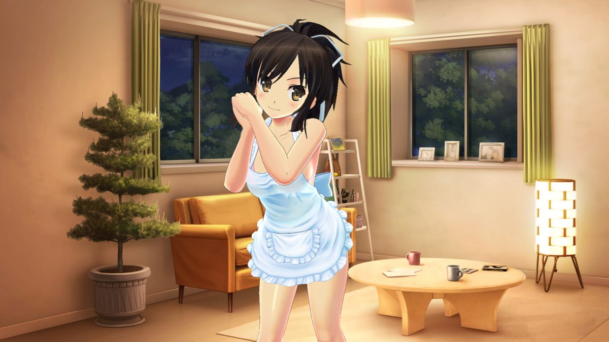 Senran Kagura: Reflexions - Newlyweds Outfit Set official promotional image  - MobyGames