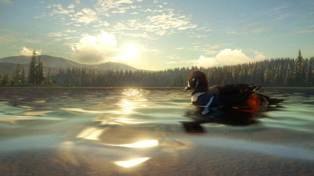 theHunter: Call of the Wild - Yukon Valley Screenshot (Steam)