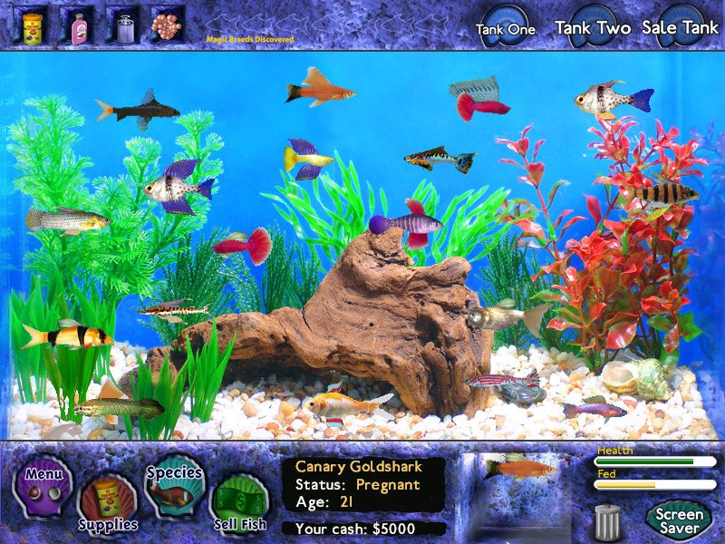 Fish Tycoon Screenshot (Steam)