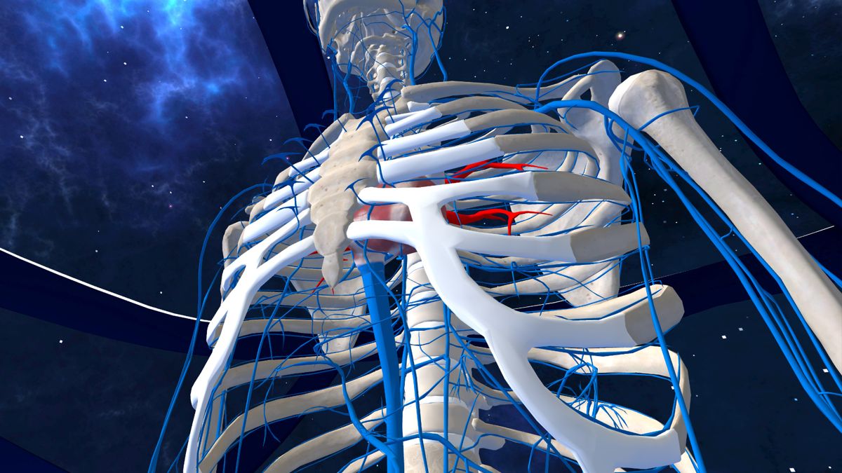 Human Anatomy VR Screenshot (PlayStation Store)