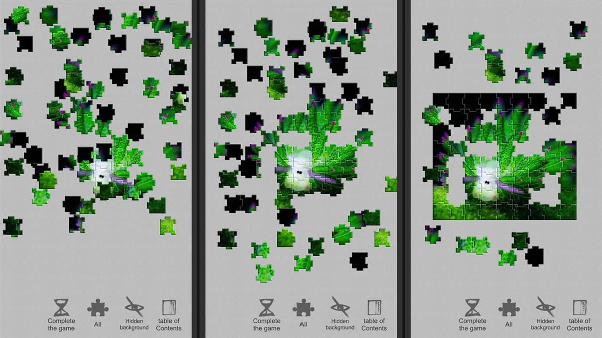 Jigsaw Puzzle: Evolution Screenshot (Steam)