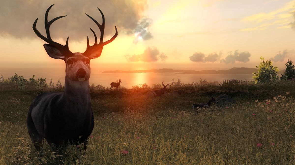 theHunter Classic on Steam