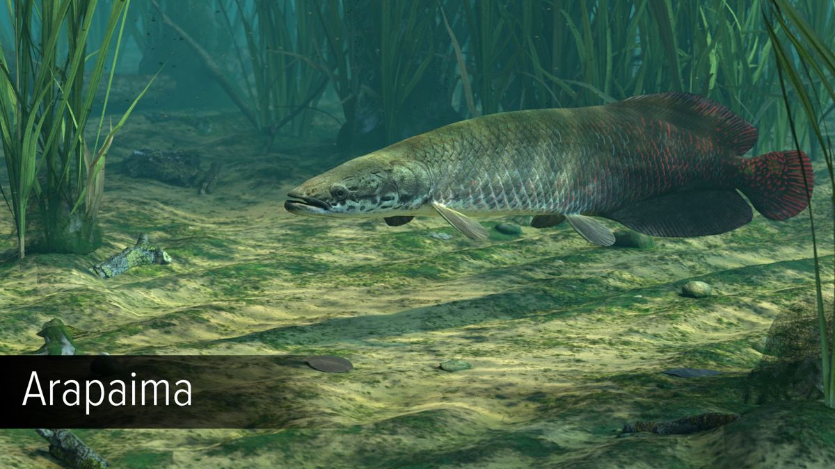 Ultimate Fishing Simulator: Amazon River Screenshot (Steam)