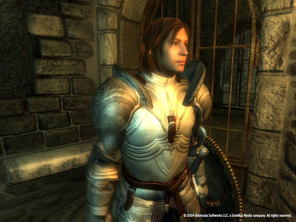 The Elder Scrolls IV: Oblivion - Game of the Year Edition Screenshot (Steam)
