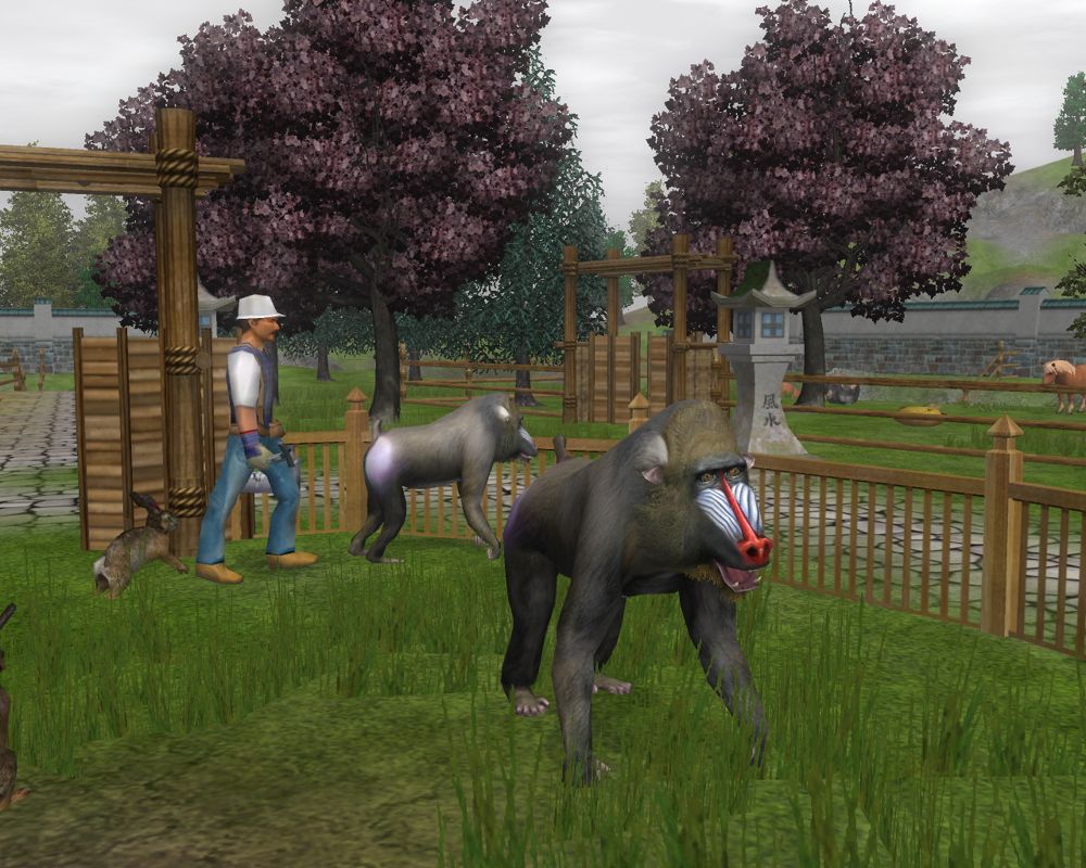 Wildlife Park 2: Crazy Zoo Screenshot (Steam)
