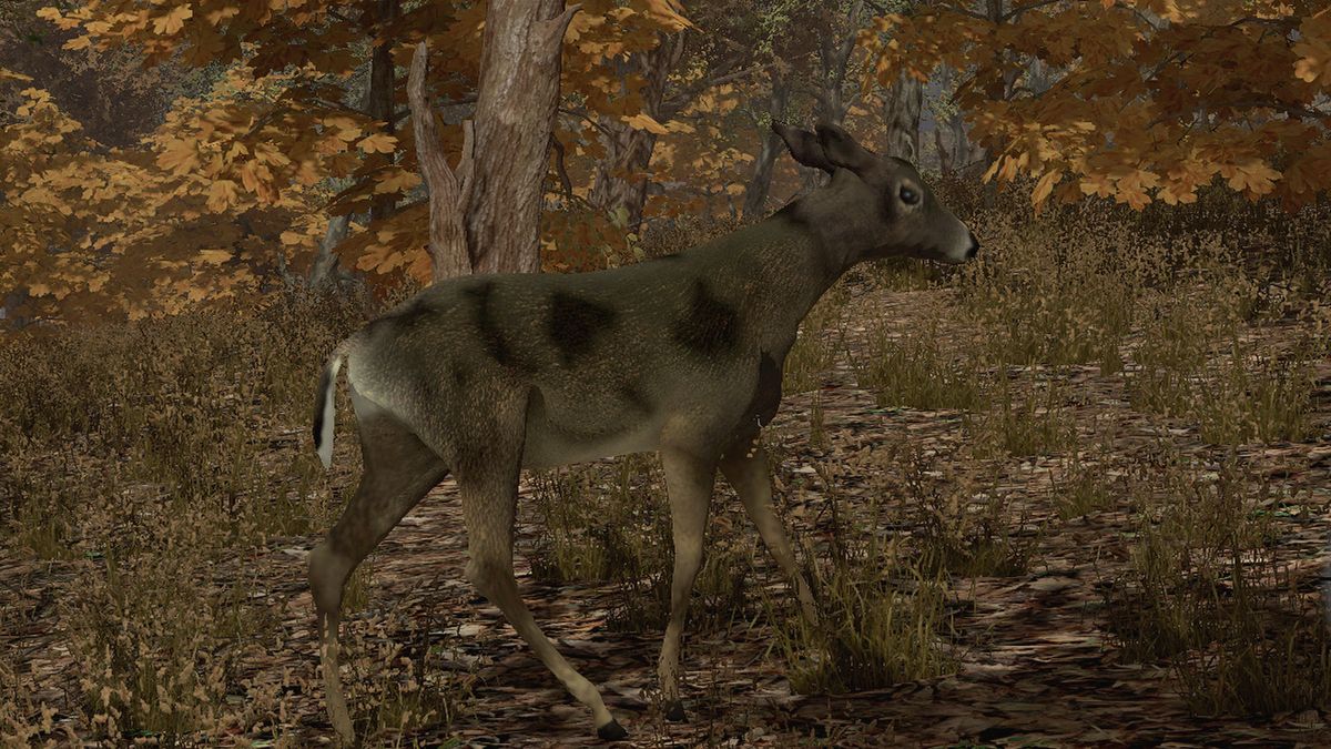 Pro Deer Hunting Screenshot (PlayStation Store)