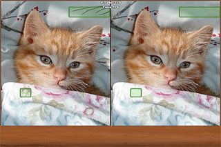 Cats: Spot the Difference Screenshot (iTunes Store)