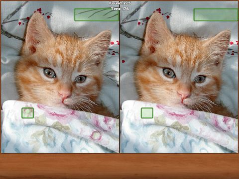 Cats: Spot the Difference Screenshot (iTunes Store)