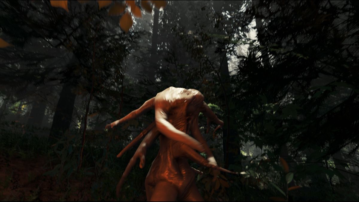 The Forest Screenshot (Steam)