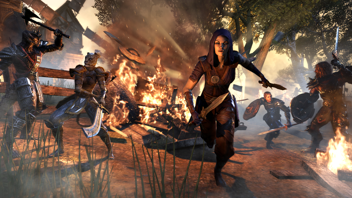 The Elder Scrolls Online: Tamriel Unlimited Other (Official Xbox Live achievement art): Support the Fight