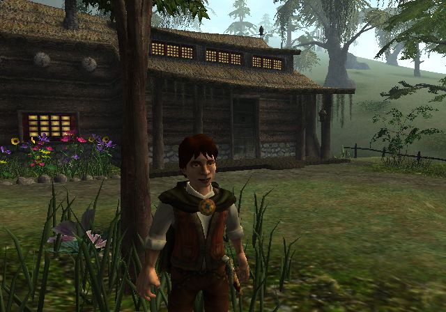 The Lord of the Rings: The Fellowship of the Ring Screenshot (The Lord of the Rings: The Fellowship of the Ring Game Assets disc (November 2002) ): PlayStation 2 and PC