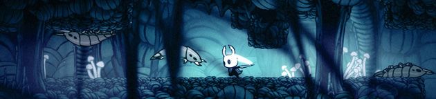 Hollow Knight Other (Steam)