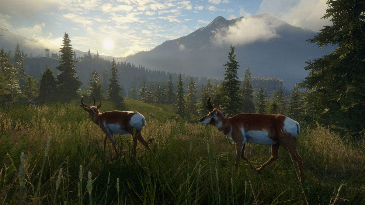 theHunter: Call of the Wild - Silver Ridge Peaks Screenshot (Steam)