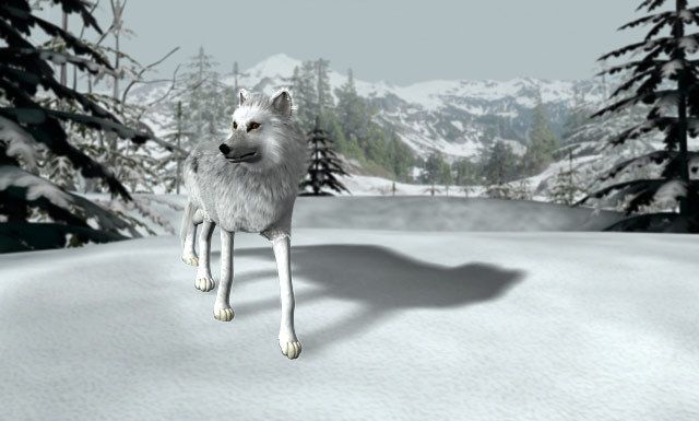 Nancy Drew: The White Wolf of Icicle Creek Screenshot (Steam)