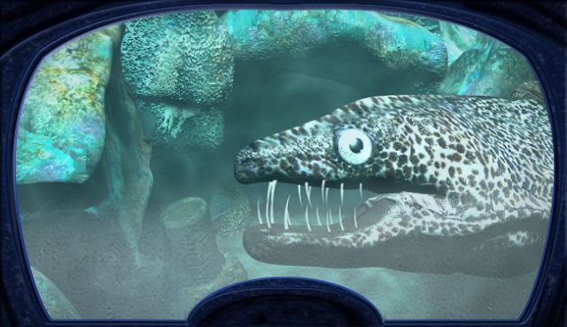 Nancy Drew: The Creature of Kapu Cave Screenshot (Steam)