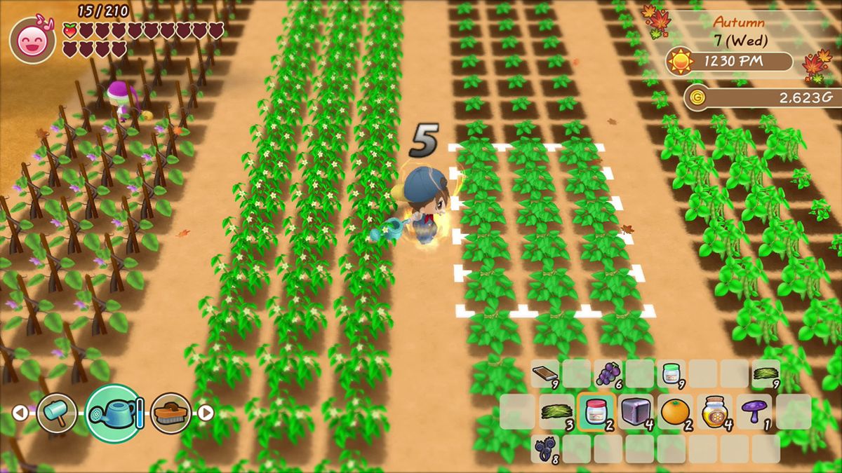 Story of Seasons: Friends of Mineral Town Screenshot (Nintendo.com)