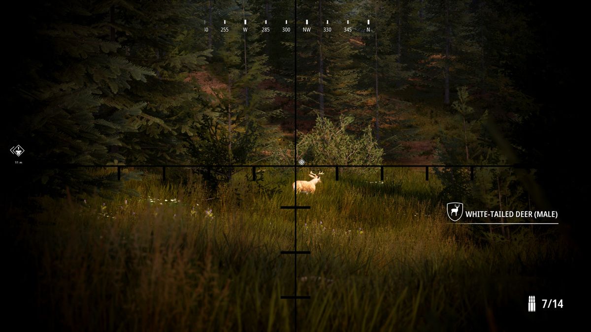 Hunting Simulator 2 Screenshot (Steam)