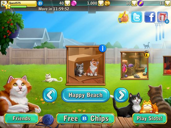 Bingo Cats Screenshot (iTunes Store)