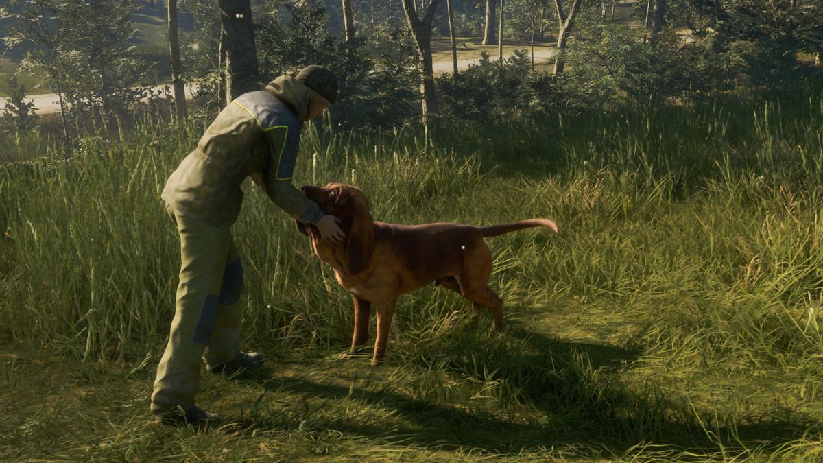 theHunter: Call of the Wild - Bloodhound Screenshot (Steam)