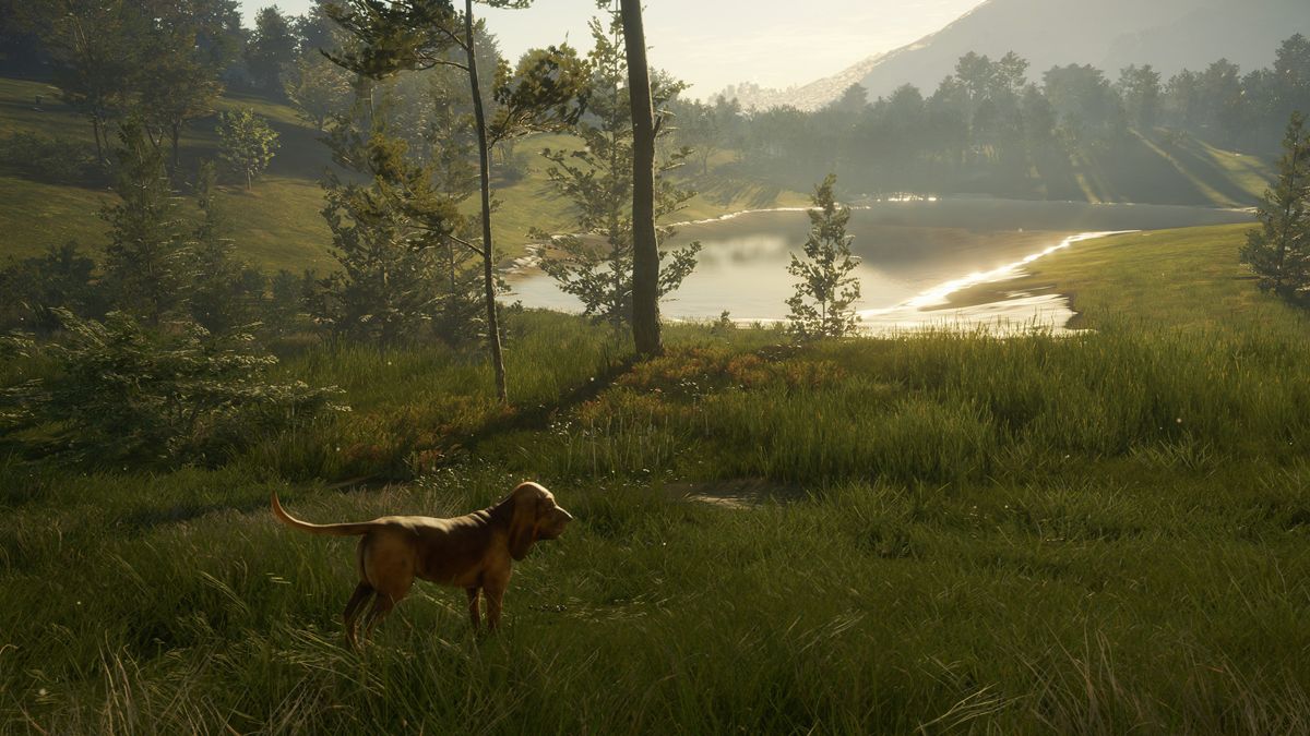 theHunter: Call of the Wild - Bloodhound Screenshot (Steam)
