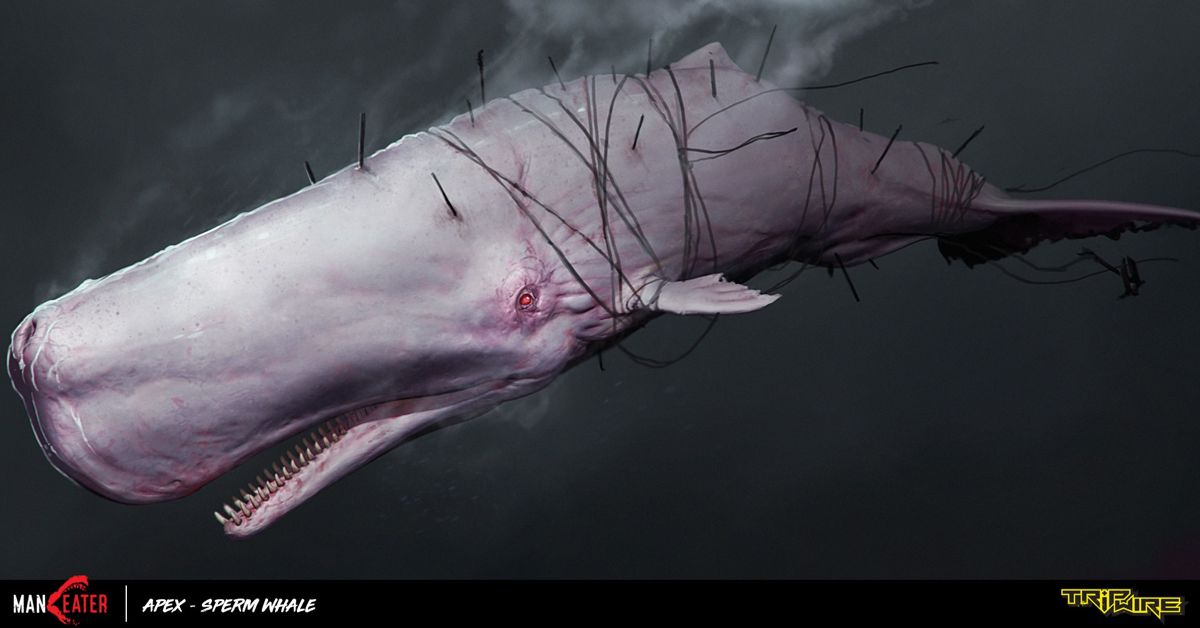 Maneater Concept Art (Social Media Concept Art): Apex - Sperm Whale