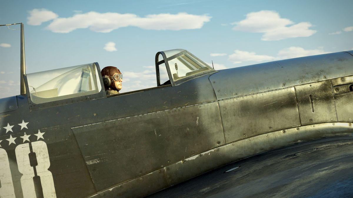 IL-2 Sturmovik: Yak-9T Series 1 Collector Plane Screenshot (Steam)