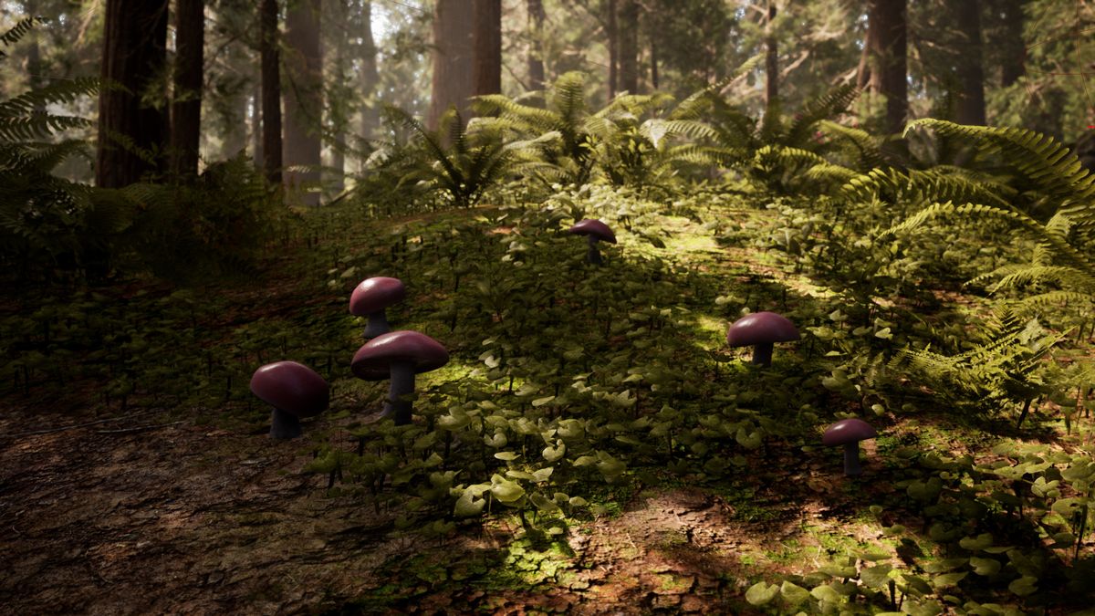 Morels: The Hunt Screenshot (Steam)