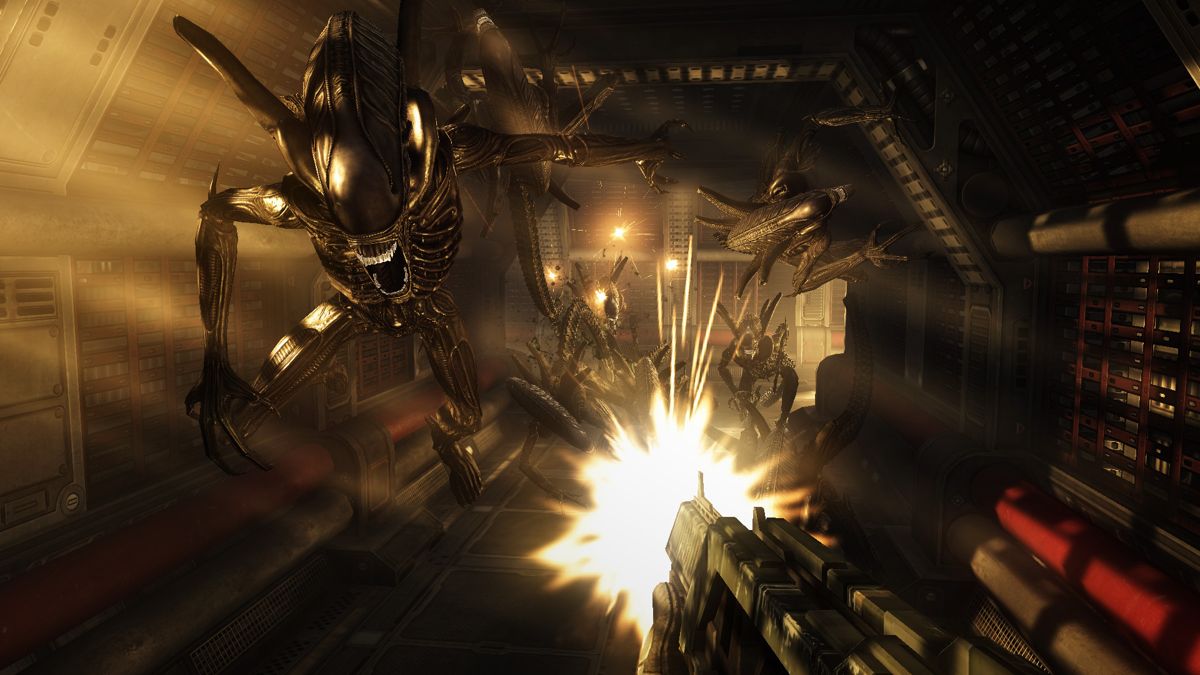 Aliens vs Predator Screenshot (Steam)