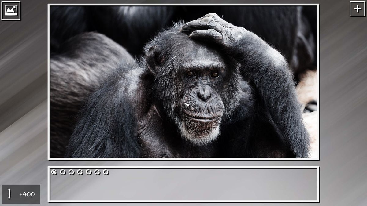 Super Jigsaw Puzzle: Generations - Monkeys & Apes Screenshot (Steam)