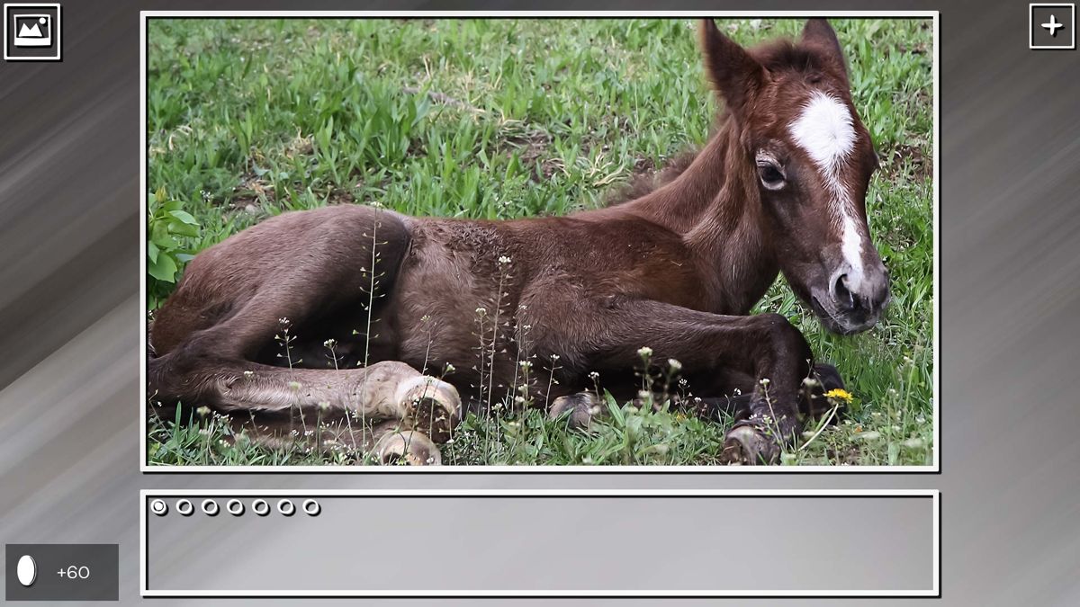 Super Jigsaw Puzzle: Generations - Horses Screenshot (Steam)