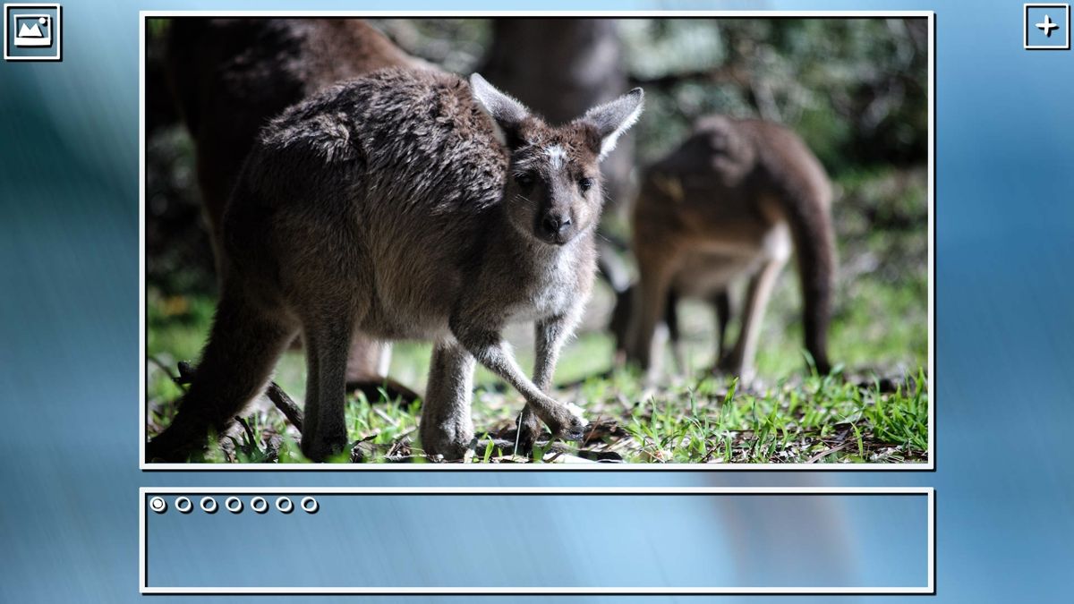 Super Jigsaw Puzzle: Generations - Australia Screenshot (Steam)