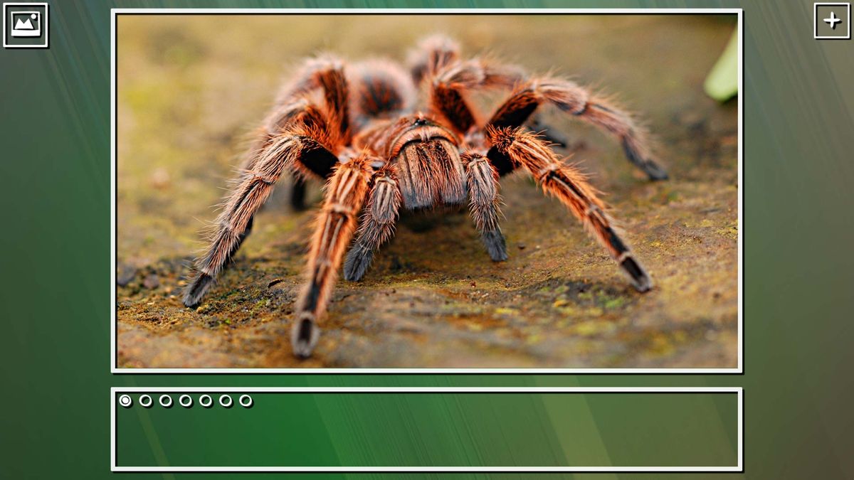 Super Jigsaw Puzzle: Generations - Bugs Screenshot (Steam)