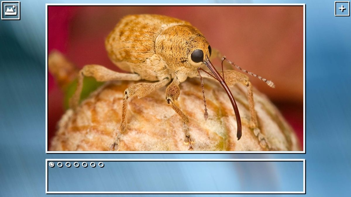 Super Jigsaw Puzzle: Generations - Bugs Screenshot (Steam)
