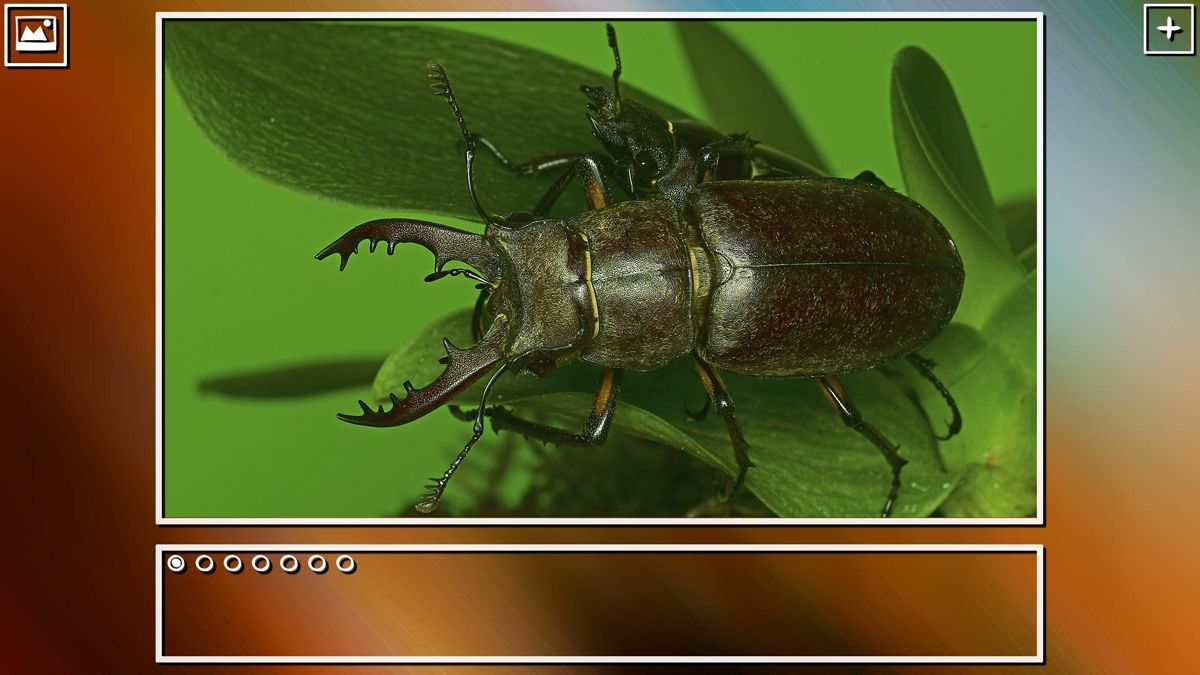Super Jigsaw Puzzle: Generations - Bugs Screenshot (Steam)