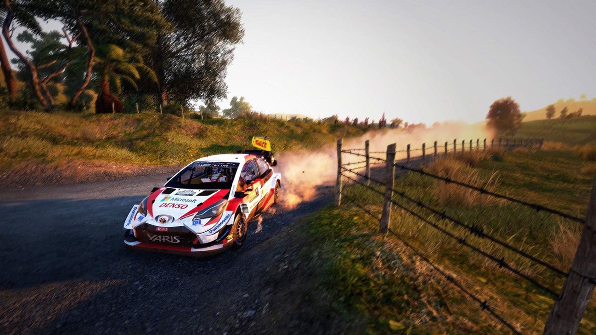 WRC 9 Screenshot (Nintendo.com.au)