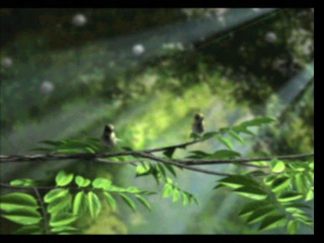 Arc the Lad III (PlayStation) screenshot: Beautiful!
