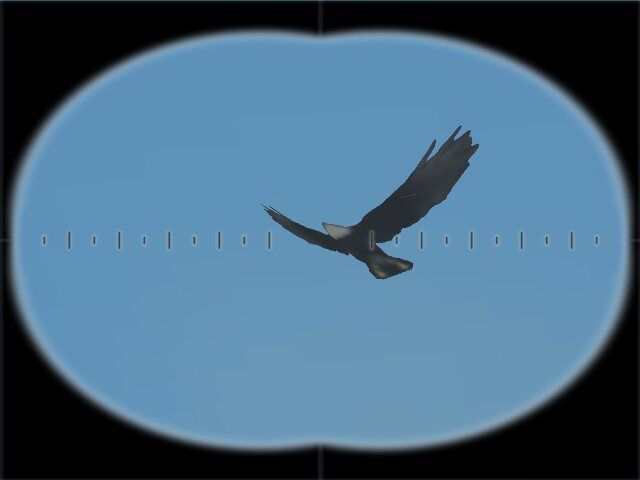 Cabela's 4x4 Off-Road Adventure III (Windows) screenshot: Eagle
