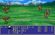 Final Fantasy II (WonderSwan Color) screenshot: Fighting on a field