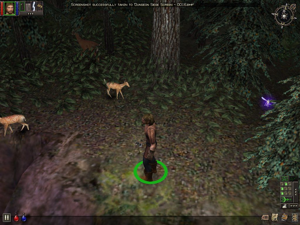 Dungeon Siege (Windows) screenshot: Bambi and Tinkerbell...I must be in Disneyland. The forests are full of friendly fauna...both factual and fantastical...