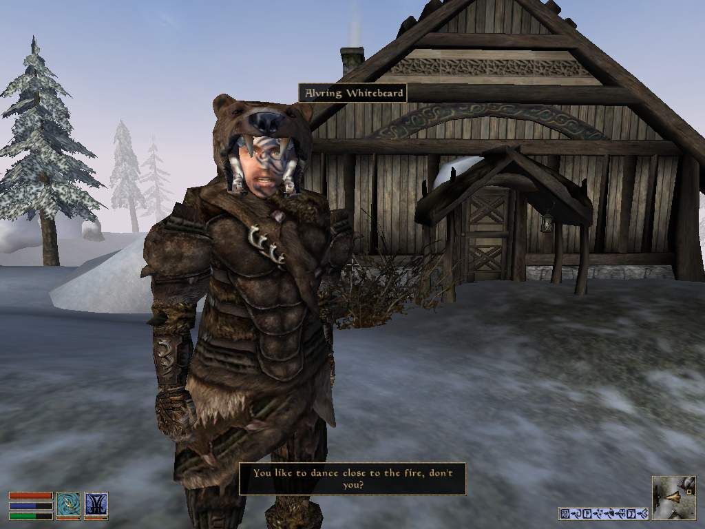 The Elder Scrolls III: Bloodmoon (Windows) screenshot: Nice armor