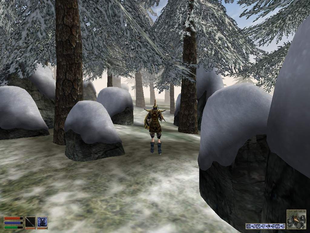 The Elder Scrolls III: Bloodmoon (Windows) screenshot: Lost in forest