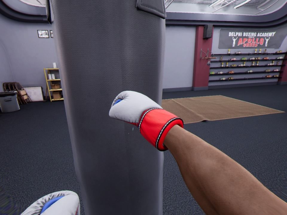 Creed: Rise to Glory (PlayStation 4) screenshot: Punching bag