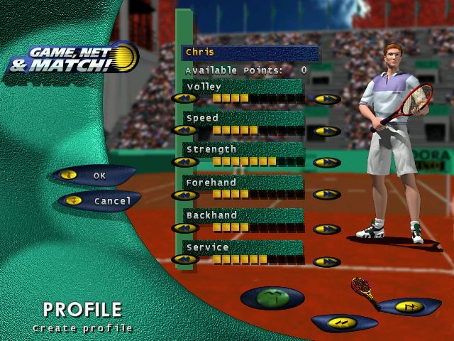 Game, Net & Match! (Windows) screenshot: Creating a player profile by distributing skill points