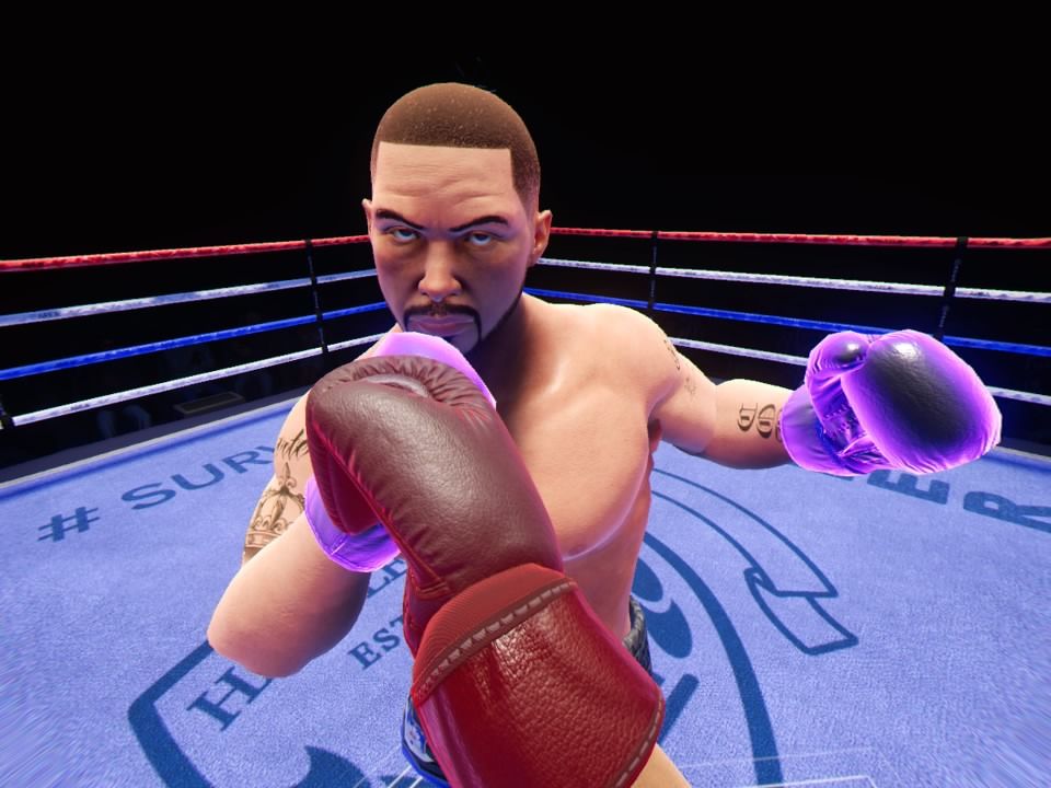 Creed: Rise to Glory (PlayStation 4) screenshot: Fighting Conlan