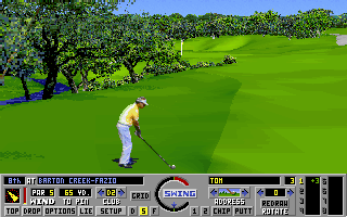 Links: Championship Course - Barton Creek (DOS) screenshot: Another tricky shot to the green (Links MCGA/VGA version)